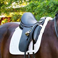 Saddle Pads